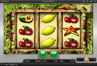 Merkur Spiele - Honey Bee