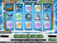 spielautomat icy wonders