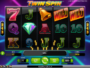 Twin Spin